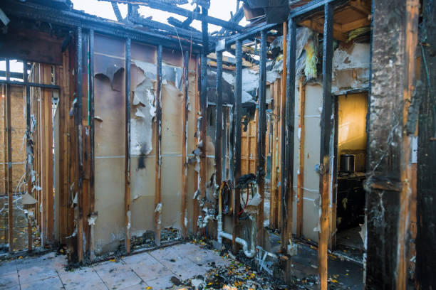 Professional Fire Damage Removal technician working in Arlington Heights, WA